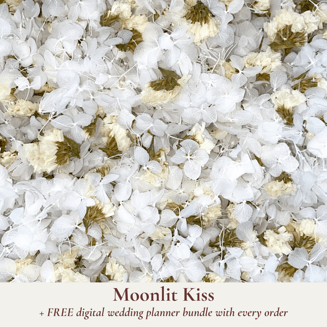Biodegradable Wedding Confetti - Dried Flower Confetti - Moonlit Kiss - Dried Flower Confetti - The Sprinkle Bar