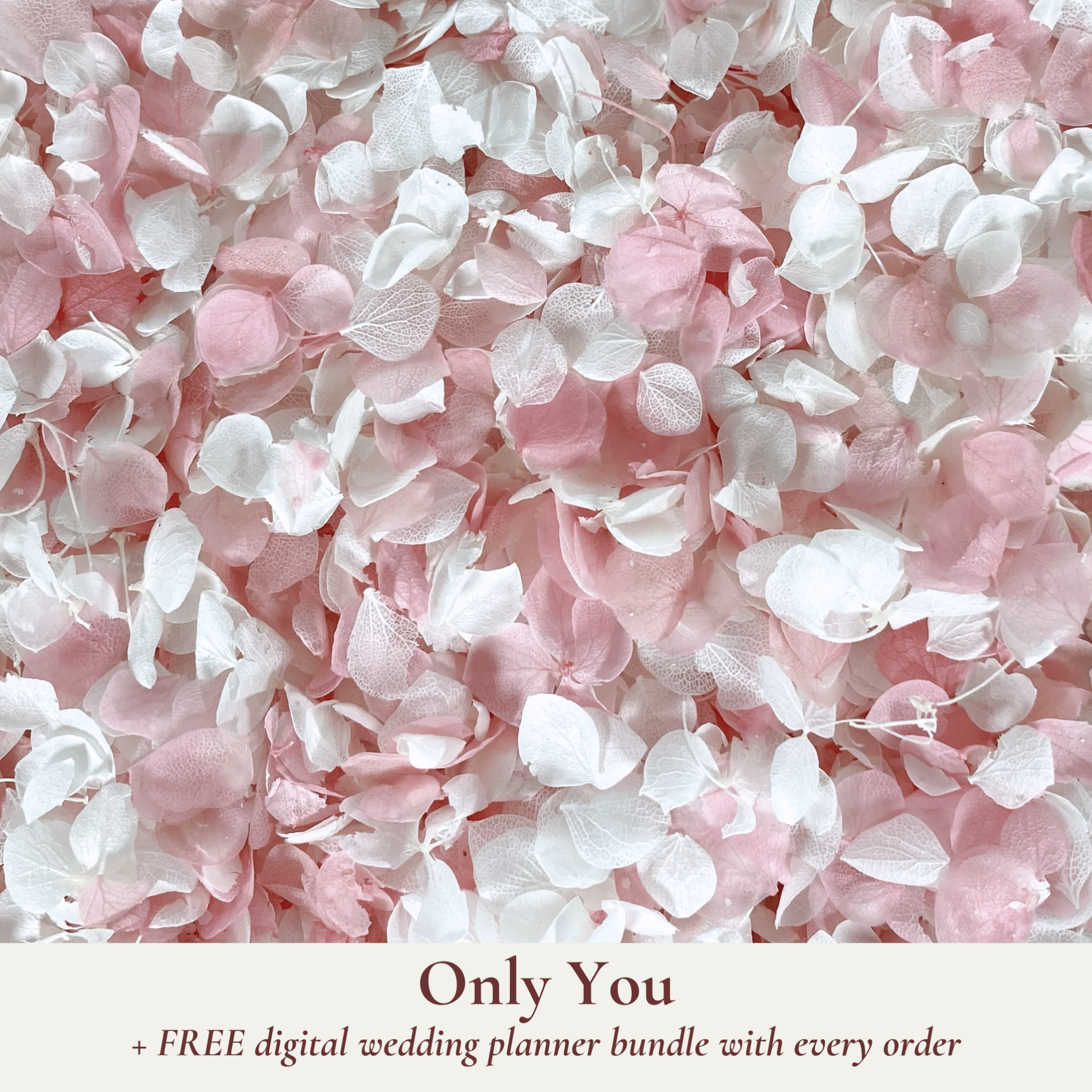 Biodegradable Wedding Confetti – Dried Flower Confetti - Only You - Dried Flower Confetti - The Sprinkle Bar