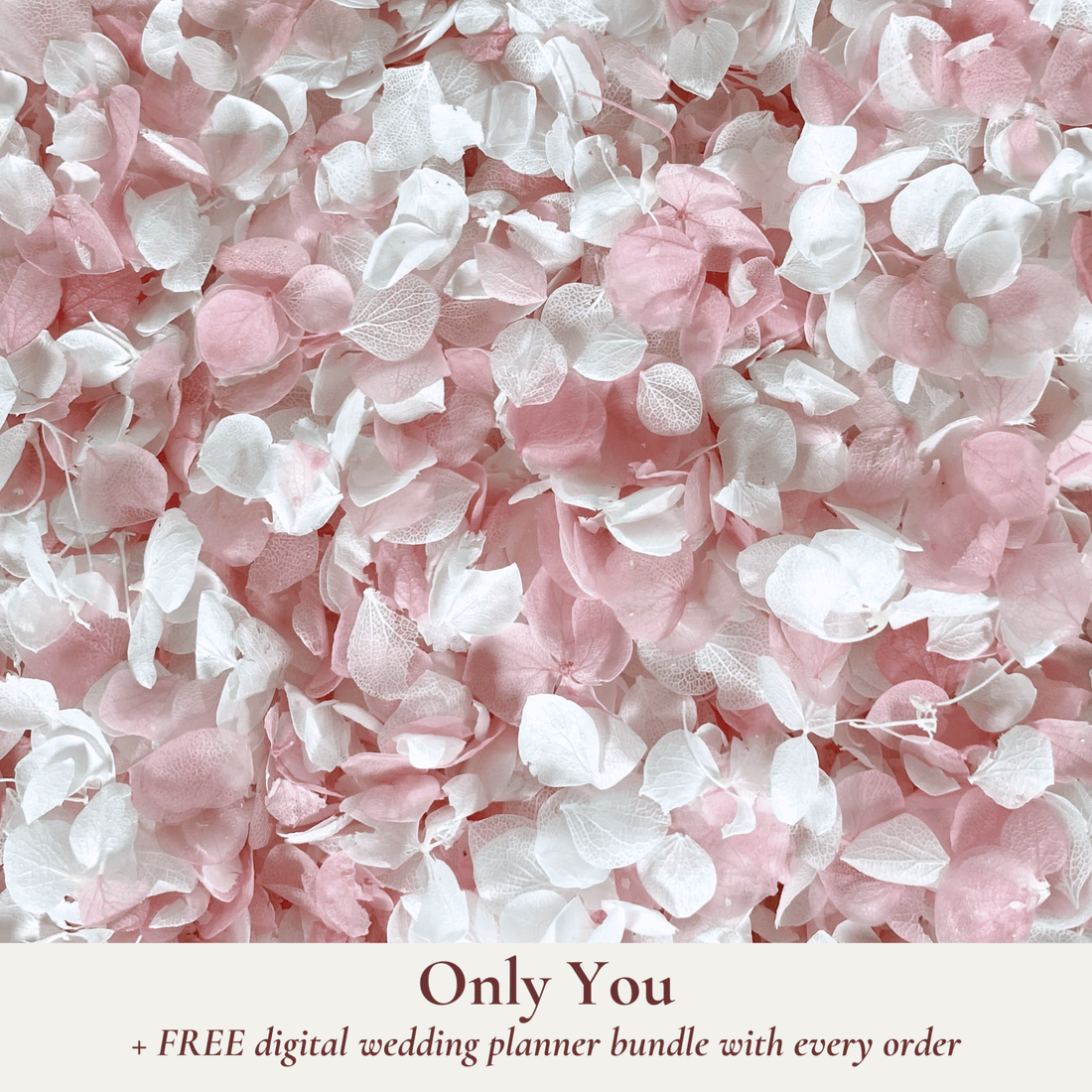 Biodegradable Wedding Confetti – Dried Flower Confetti - Only You - Dried Flower Confetti - The Sprinkle Bar