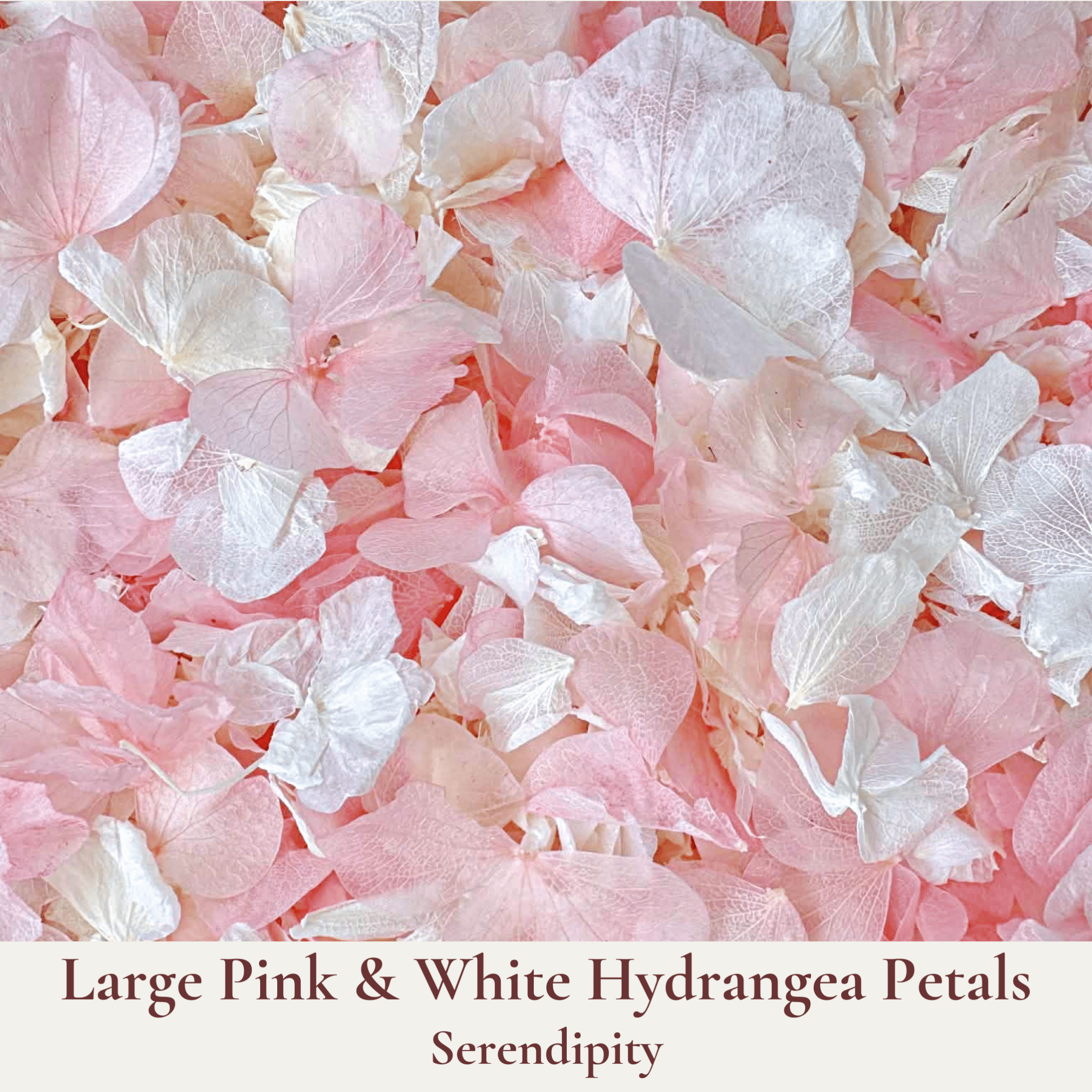 Biodegradable Wedding Confetti – Dried Flower Confetti - Serendipity - Dried Flower Confetti - The Sprinkle Bar