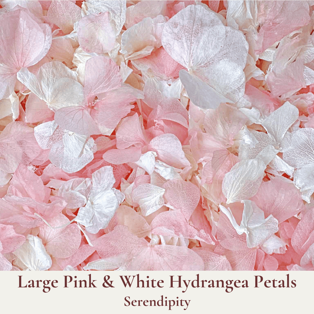 Biodegradable Wedding Confetti – Dried Flower Confetti - Serendipity - Dried Flower Confetti - The Sprinkle Bar