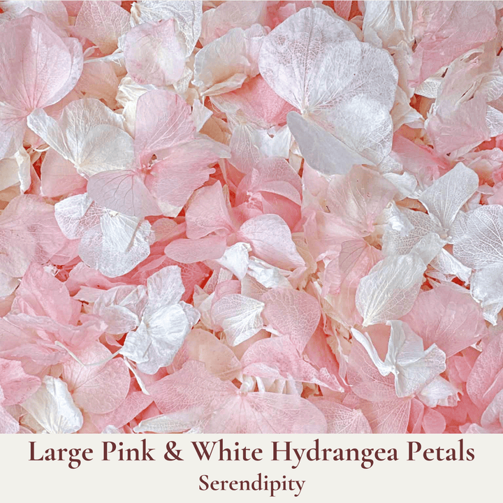 Biodegradable Wedding Confetti – Dried Flower Confetti - Serendipity - Dried Flower Confetti - The Sprinkle Bar
