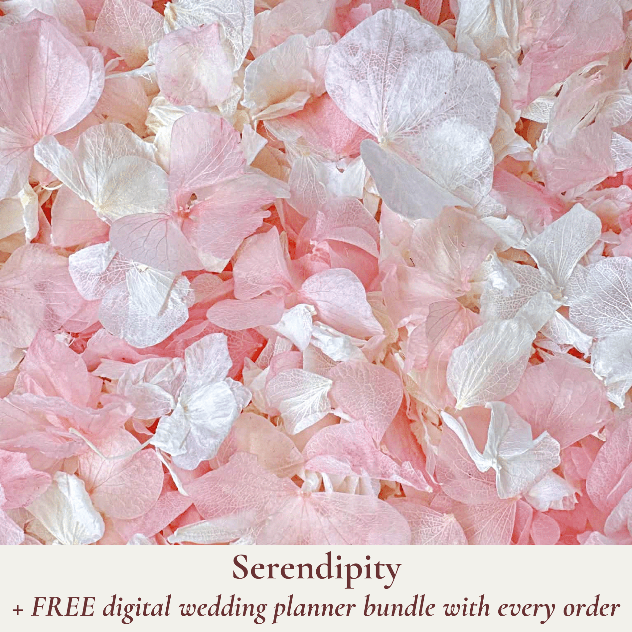 Biodegradable Wedding Confetti – Dried Flower Confetti - Serendipity - Dried Flower Confetti - The Sprinkle Bar