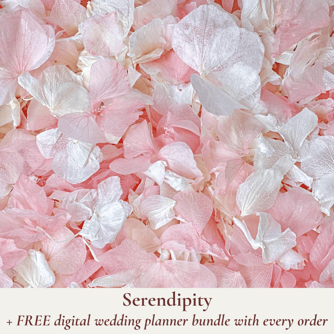 Biodegradable Wedding Confetti – Dried Flower Confetti - Serendipity - Dried Flower Confetti - The Sprinkle Bar