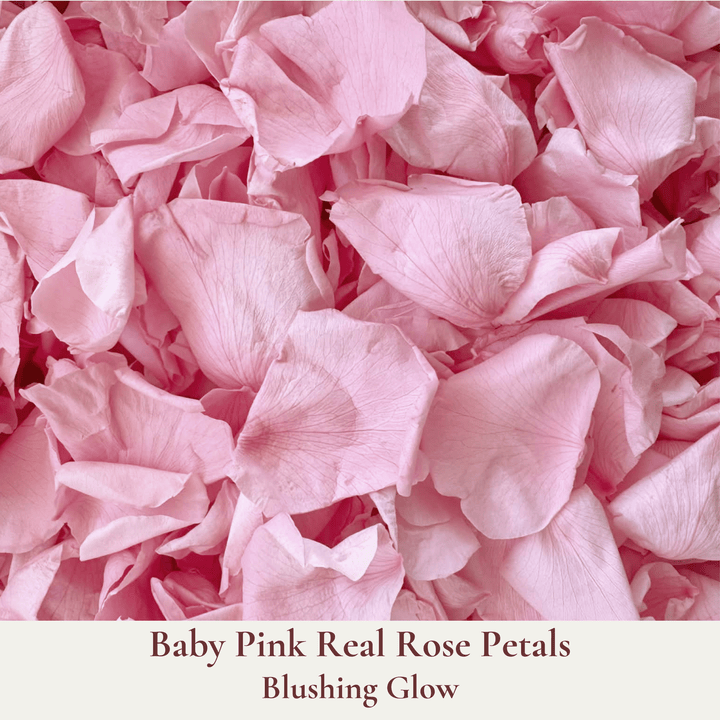 Biodegradable Wedding Confetti – Dried Flower Petal Confetti - Blushing Glow - Dried Flower Confetti - The Sprinkle Bar