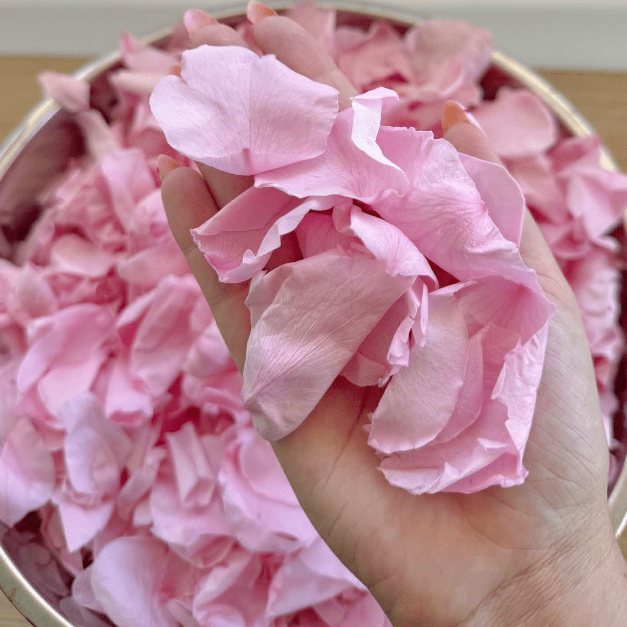 Biodegradable Wedding Confetti – Dried Flower Petal Confetti - Blushing Glow - Dried Flower Confetti - The Sprinkle Bar