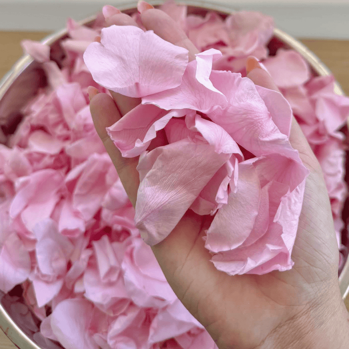 Biodegradable Wedding Confetti – Dried Flower Petal Confetti - Blushing Glow - Dried Flower Confetti - The Sprinkle Bar