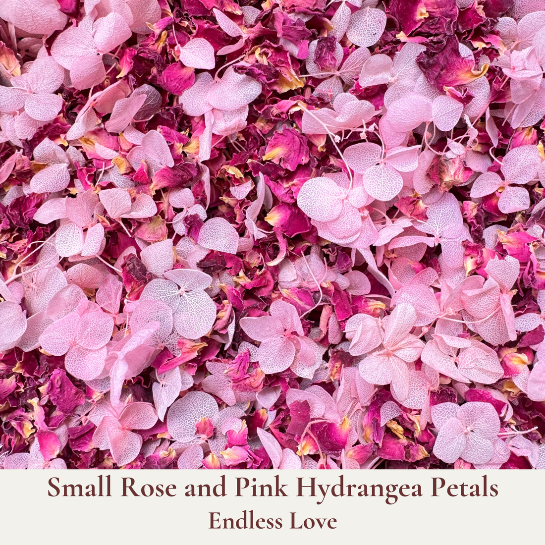 Biodegradable Wedding Confetti – Dried Flower Petal Confetti - Endless Love - Dried Flower Confetti - The Sprinkle Bar