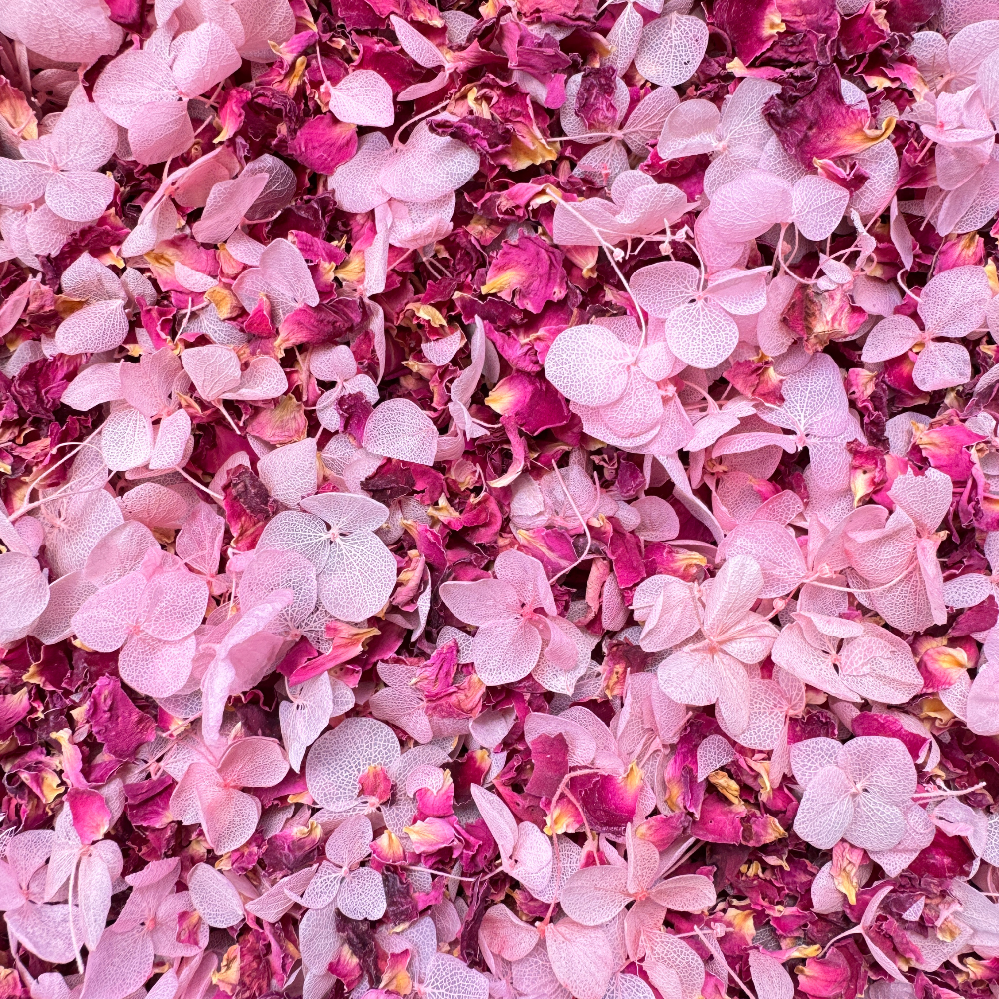 Biodegradable Wedding Confetti – Dried Flower Petal Confetti - Endless Love - Dried Flower Confetti - The Sprinkle Bar