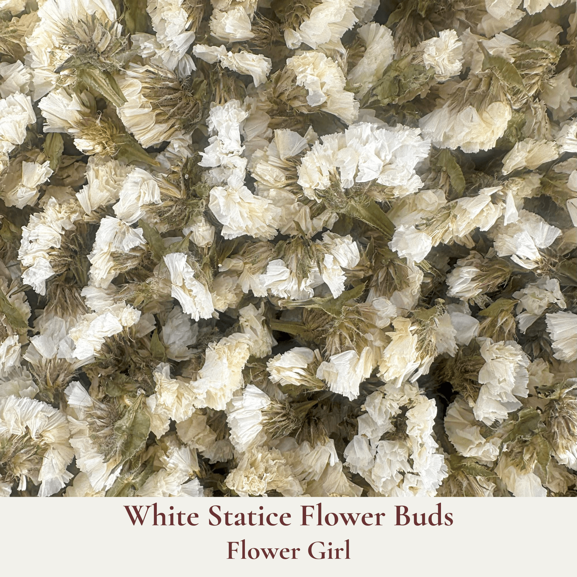 Biodegradable Wedding Confetti – Dried Flower Petal Confetti - Flower Girl - Dried Flower Confetti - The Sprinkle Bar