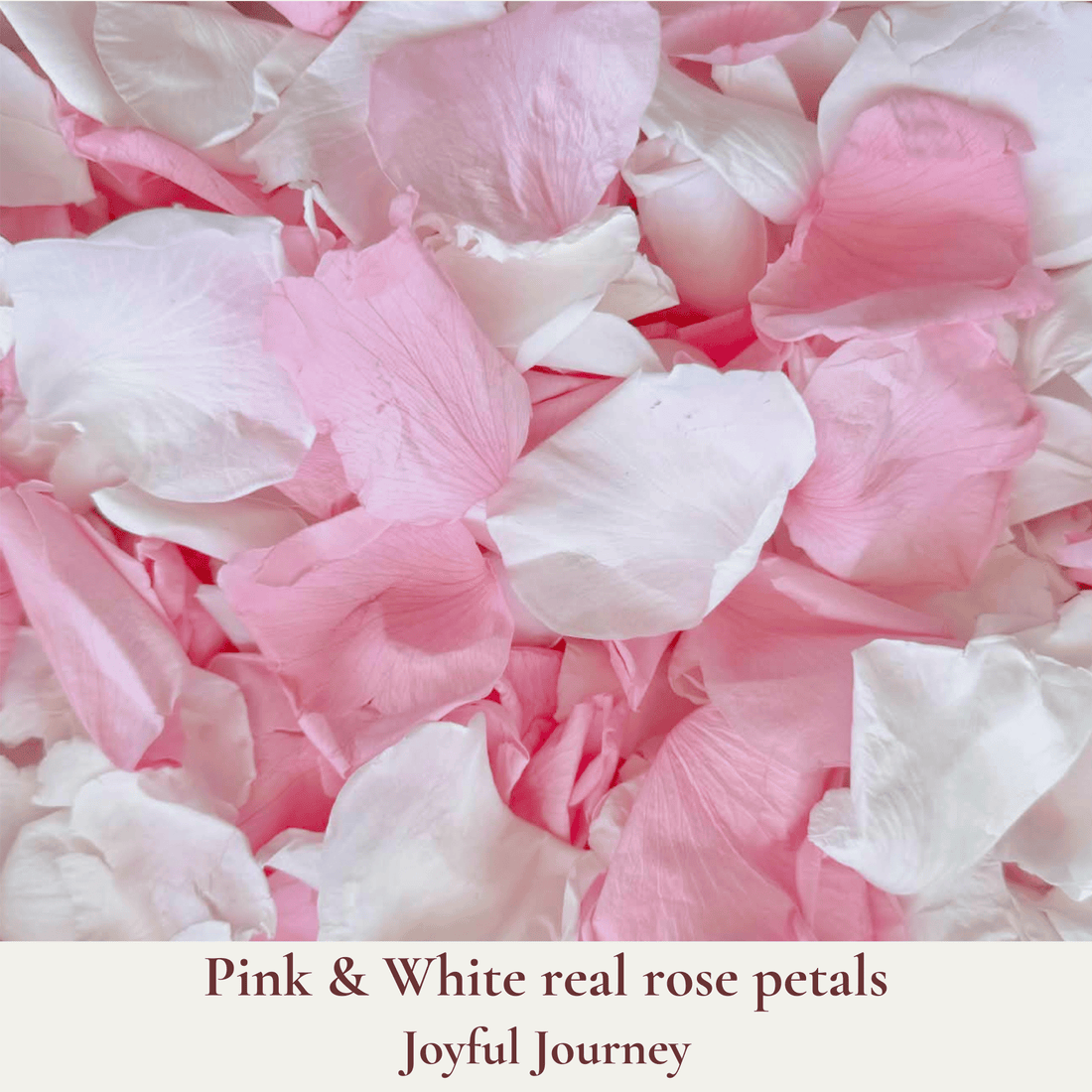 Biodegradable Wedding Confetti – Dried Flower Petal Confetti - Joyful Journey - Dried Flower Confetti - The Sprinkle Bar