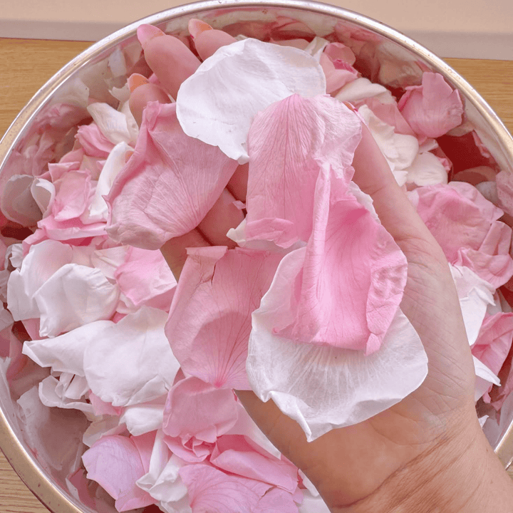 Biodegradable Wedding Confetti – Dried Flower Petal Confetti - Joyful Journey - Dried Flower Confetti - The Sprinkle Bar