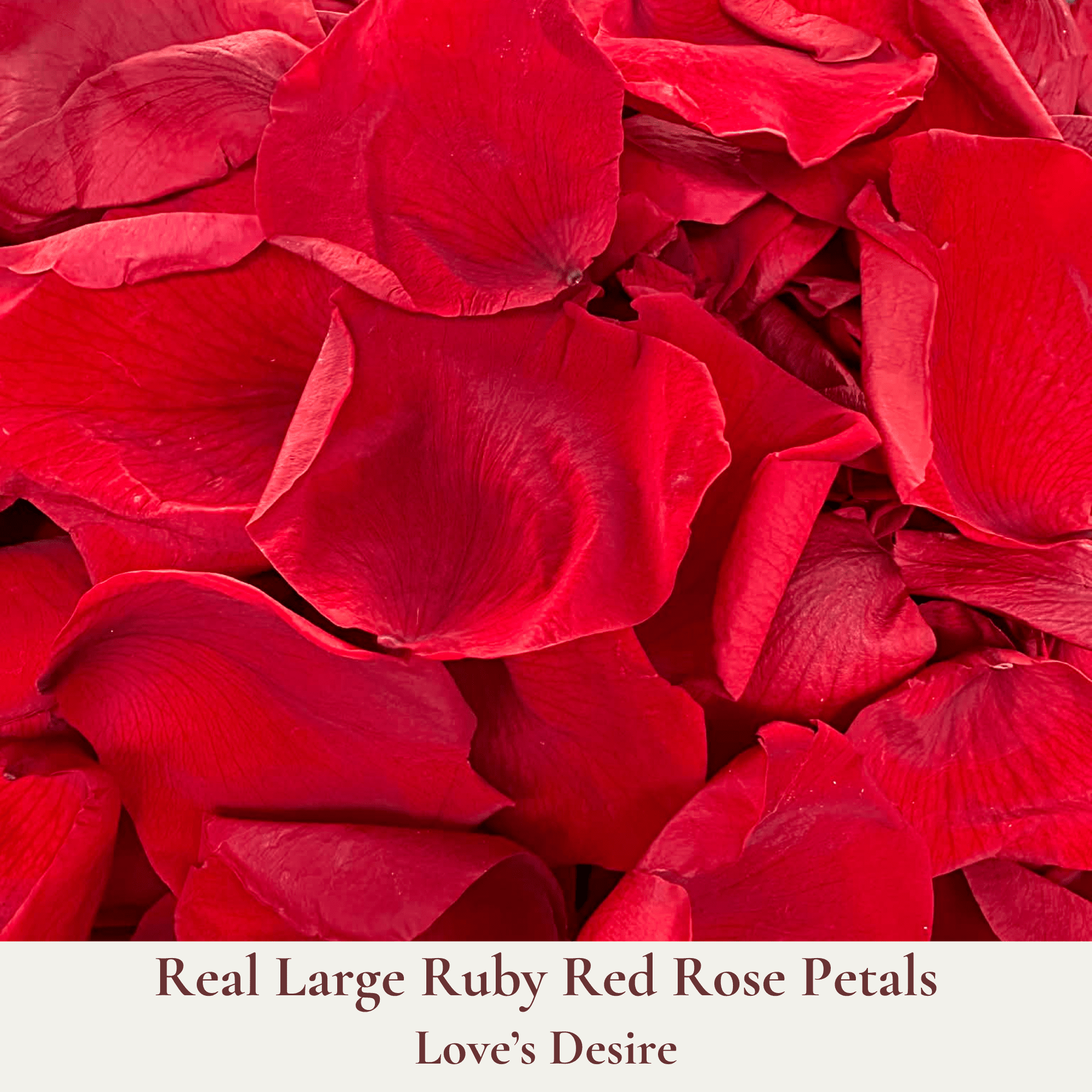 Biodegradable Wedding Confetti – Dried Flower Petal Confetti - Loves Desire - Dried Flower Confetti - The Sprinkle Bar