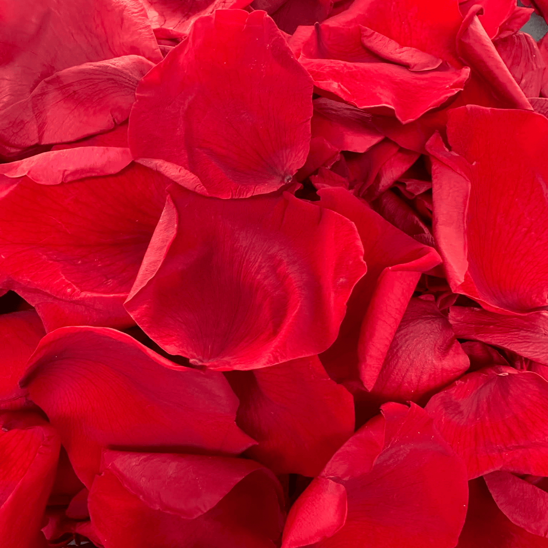 Biodegradable Wedding Confetti – Dried Flower Petal Confetti - Loves Desire - Dried Flower Confetti - The Sprinkle Bar