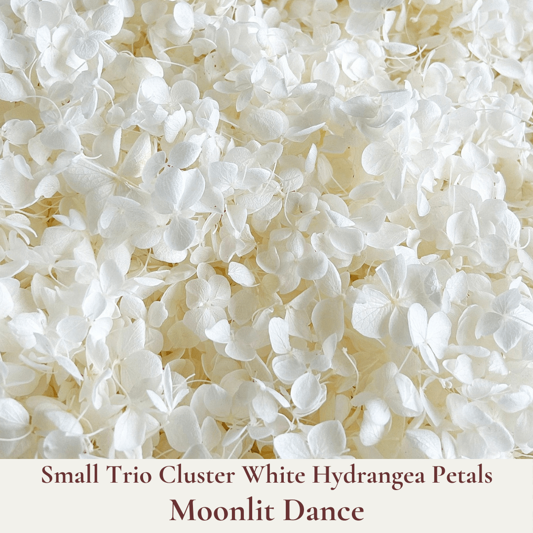 Biodegradable Wedding Confetti – Dried Flower Petal Confetti - Moonlit Dance - Dried Flower Confetti - The Sprinkle Bar