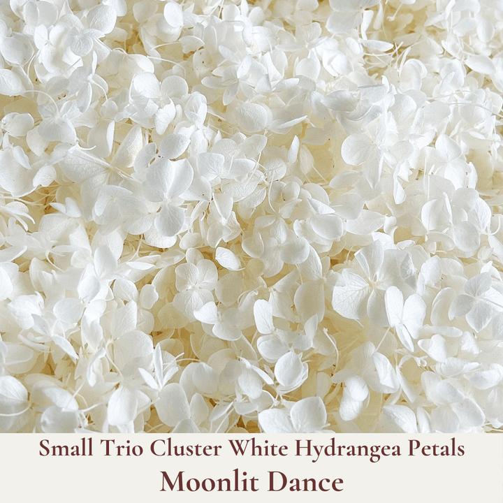 Biodegradable Wedding Confetti – Dried Flower Petal Confetti - Moonlit Dance - Dried Flower Confetti - The Sprinkle Bar