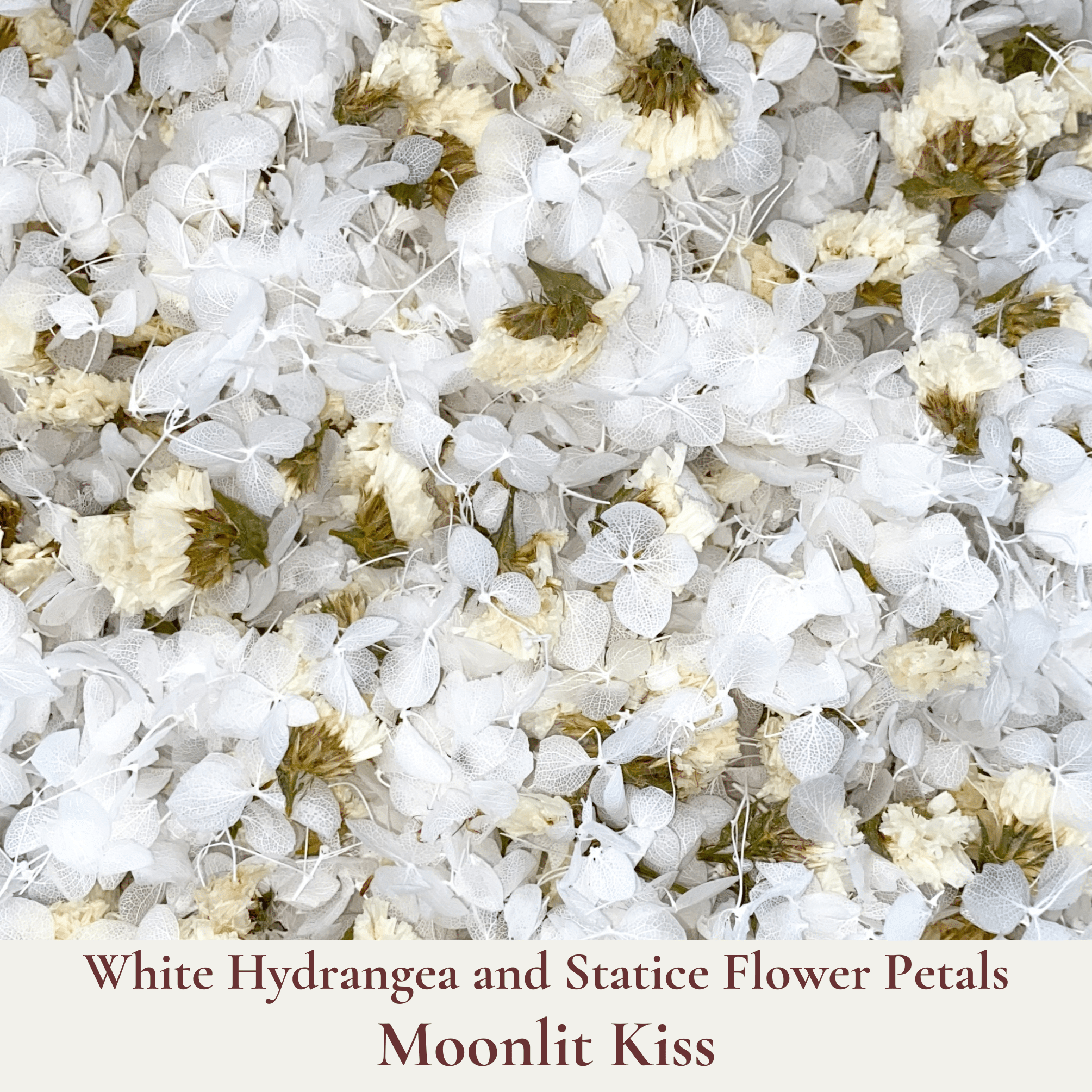 Biodegradable Confetti – Real Dried Flower Petal Wedding Confetti - Moonlit Kiss - Dried Flower Confetti - The Sprinkle Bar