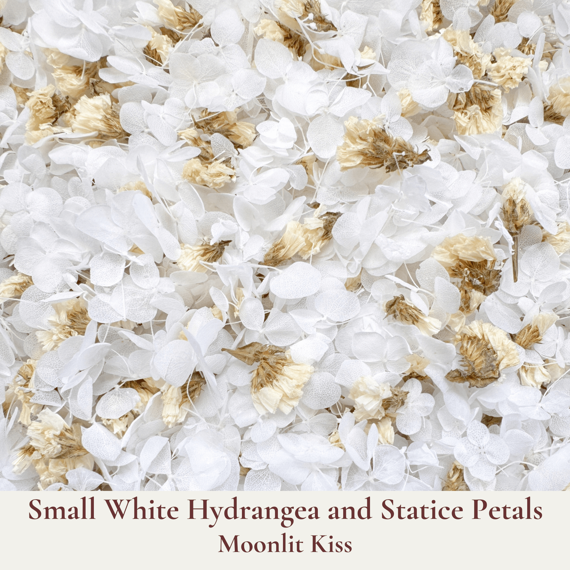 Biodegradable Wedding Confetti – Dried Flower Petal Confetti - Moonlit Kiss - Dried Flower Confetti - The Sprinkle Bar