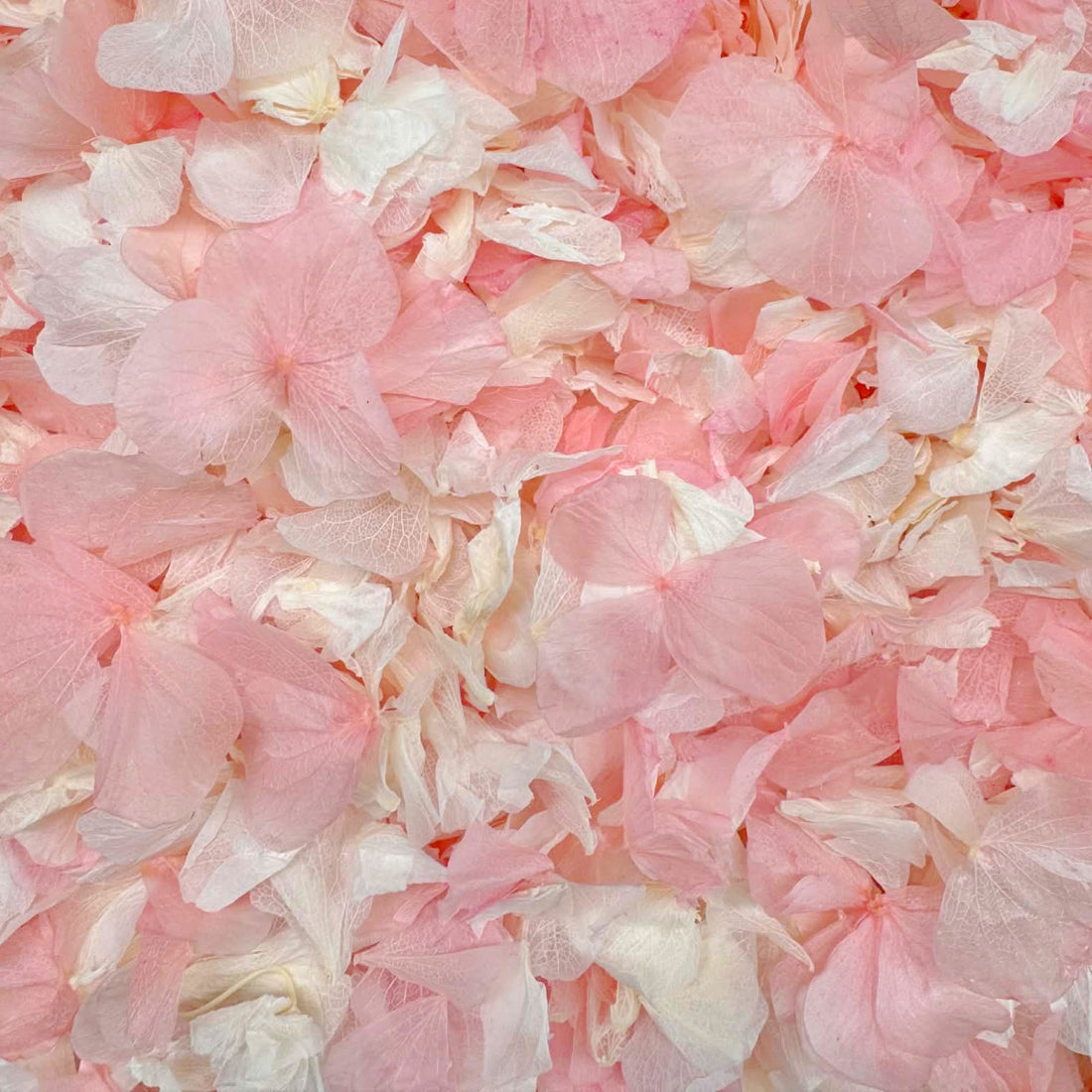 Biodegradable Wedding Confetti – Dried Flower Petal Confetti - Serendipity - Dried Flower Confetti - The Sprinkle Bar