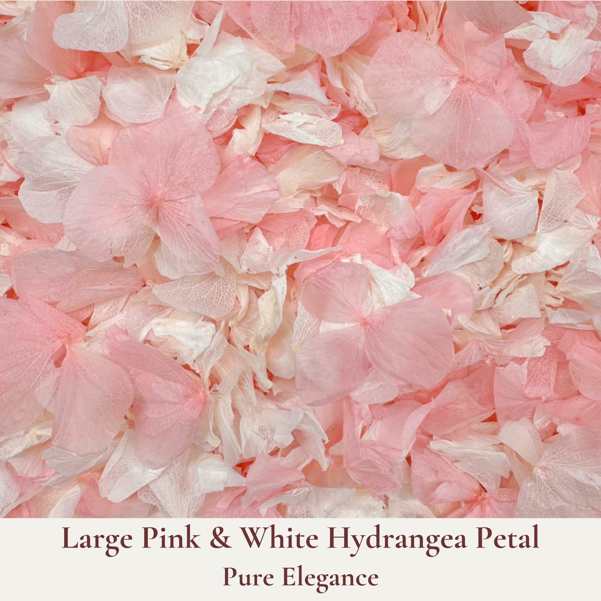 Biodegradable Wedding Confetti – Dried Flower Petal Confetti - Serendipity - Dried Flower Confetti - The Sprinkle Bar