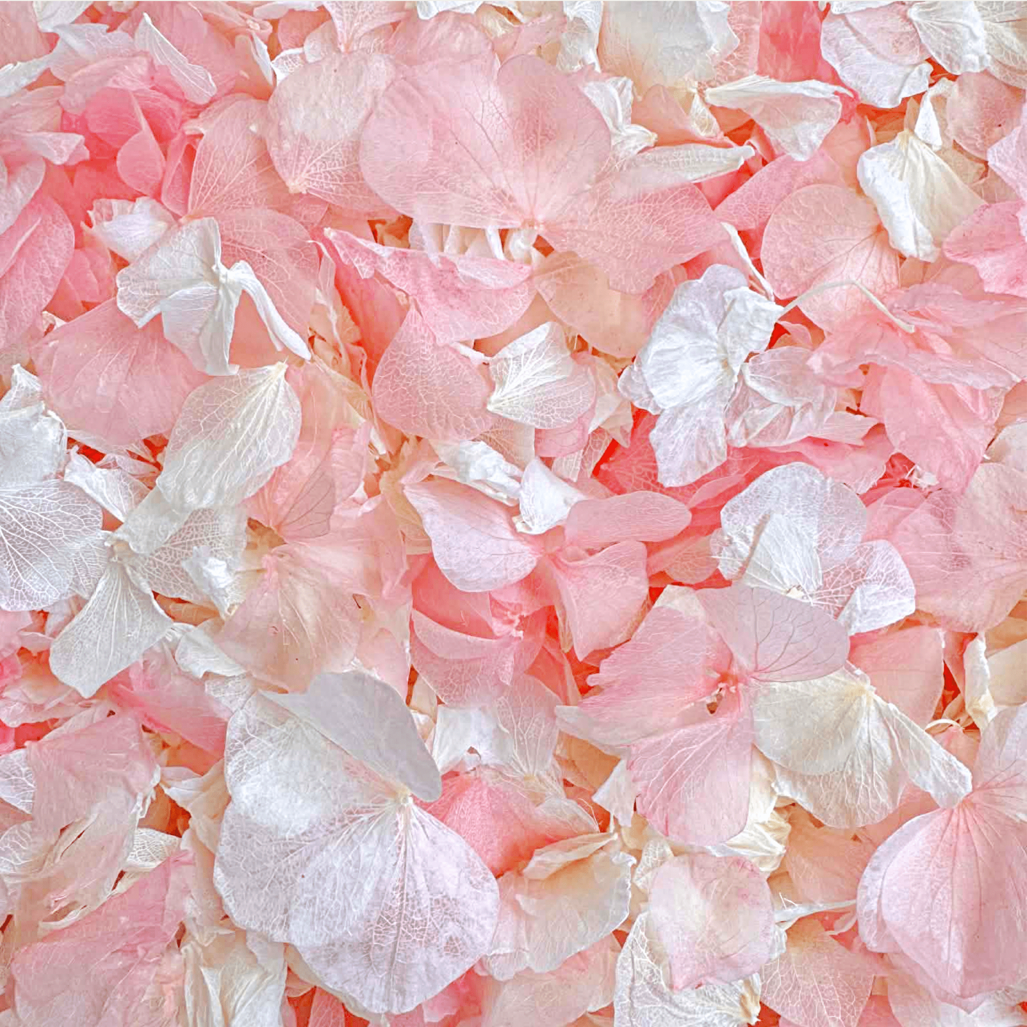 Biodegradable Wedding Confetti – Dried Flower Petal Confetti - Serendipity - Dried Flower Confetti - The Sprinkle Bar