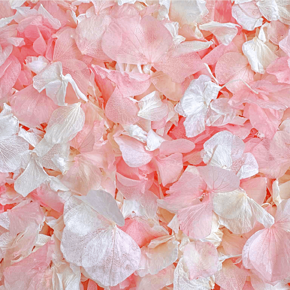 Biodegradable Wedding Confetti – Dried Flower Petal Confetti - Serendipity - Dried Flower Confetti - The Sprinkle Bar