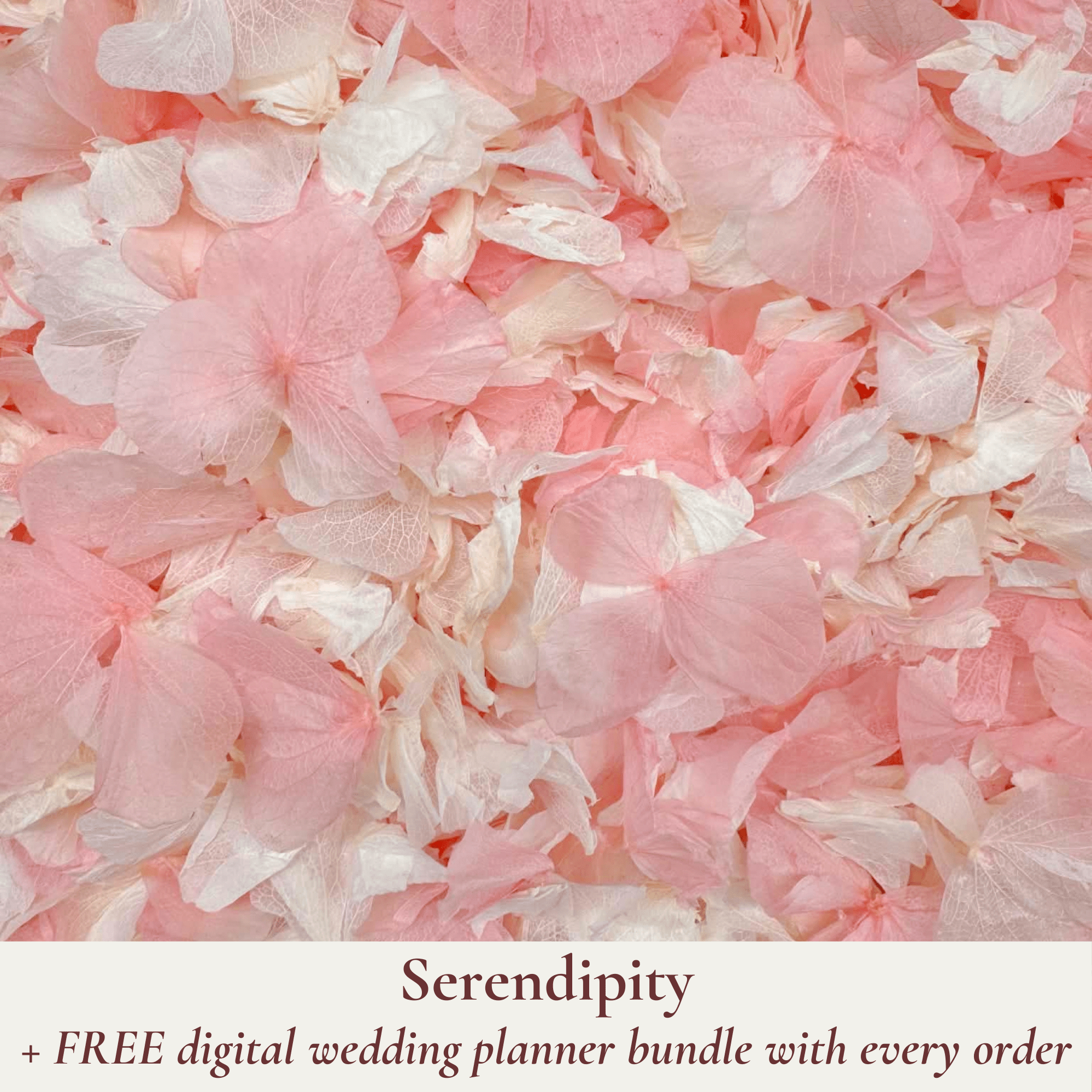 Biodegradable Wedding Confetti – Dried Flower Petal Confetti - Serendipity - Dried Flower Confetti - The Sprinkle Bar