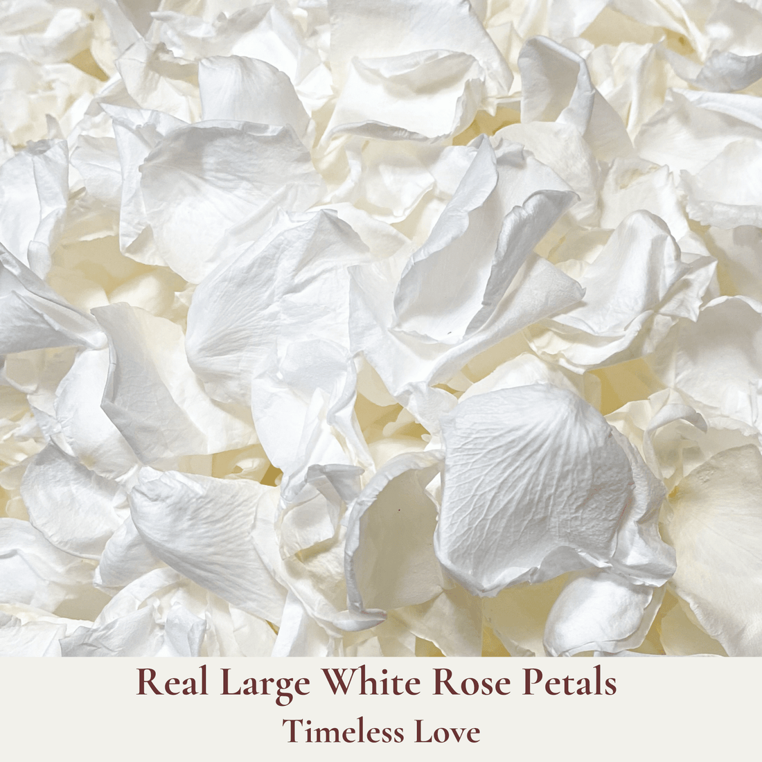 Biodegradable Wedding Confetti – Dried Flower Petal Confetti - Timeless Love - Dried Flower Confetti - The Sprinkle Bar