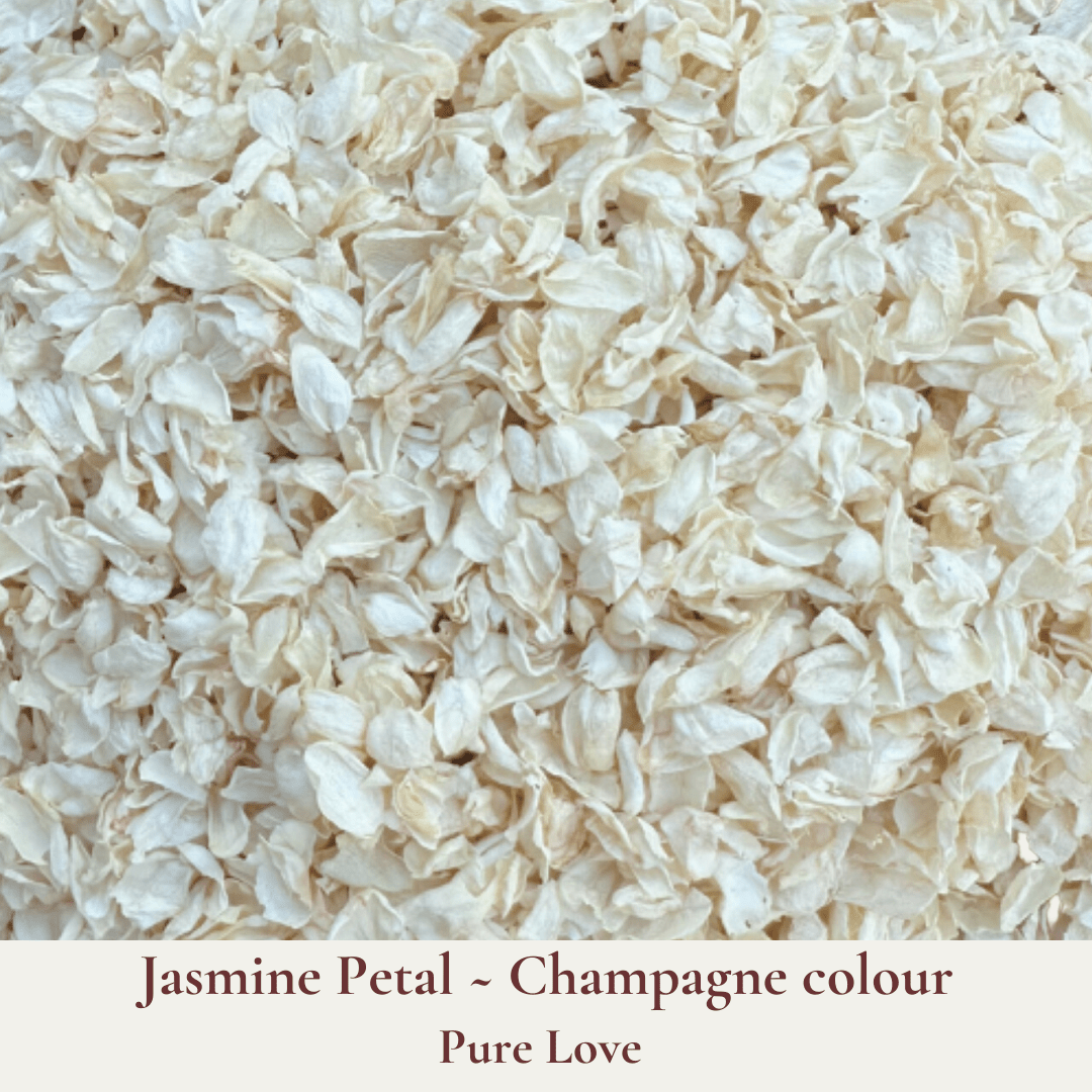 Biodegradable Confetti – Real Dried Flower Petal Wedding Confetti - Pure Love - The Sprinkle Bar