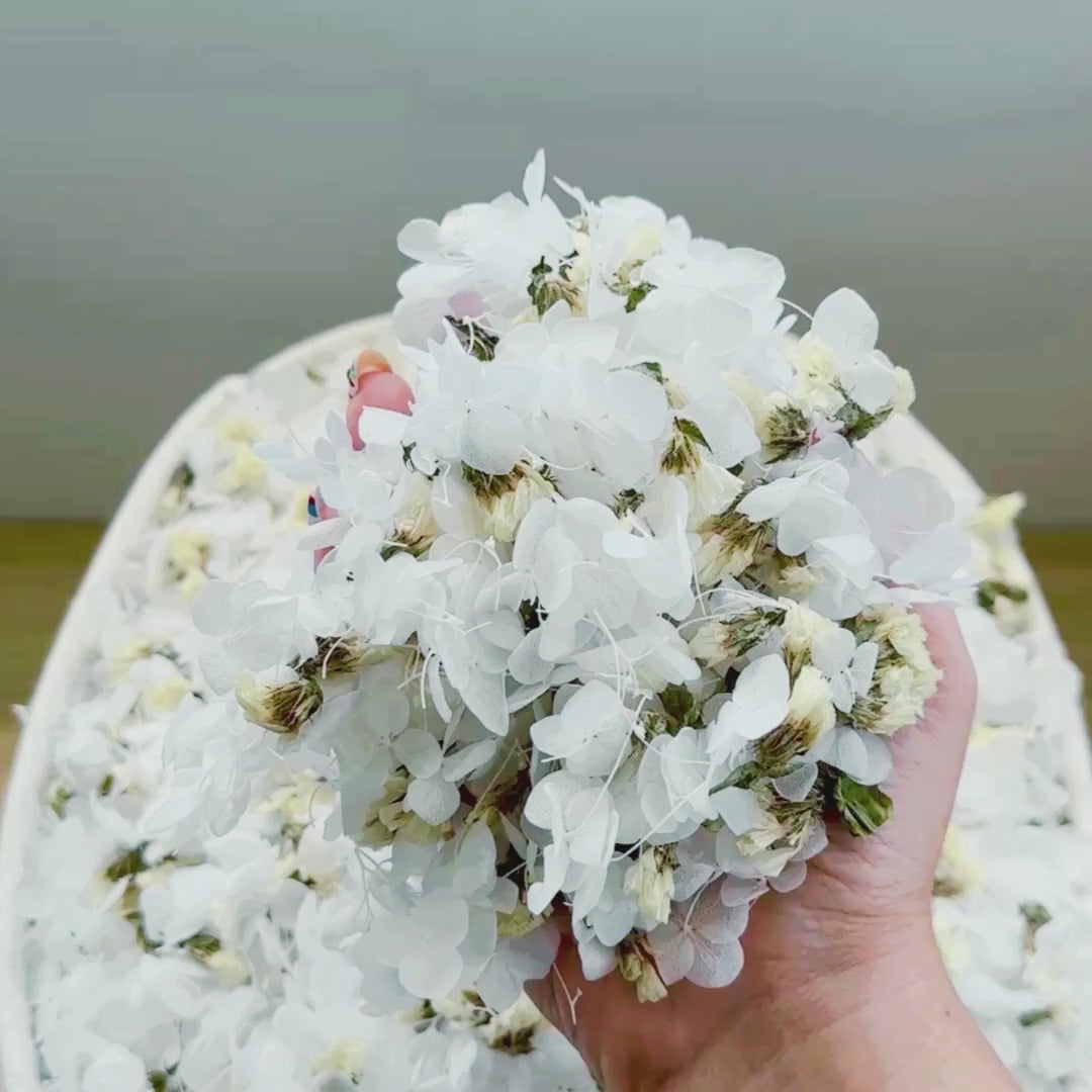 Biodegradable Wedding Confetti – Dried Flower Petal Confetti - Moonlit Kiss