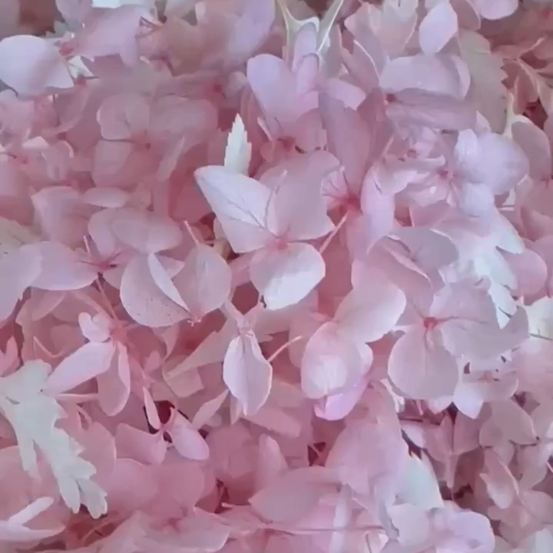 Biodegradable Confetti – Real Dried Flower Petal Wedding Confetti - Serenade