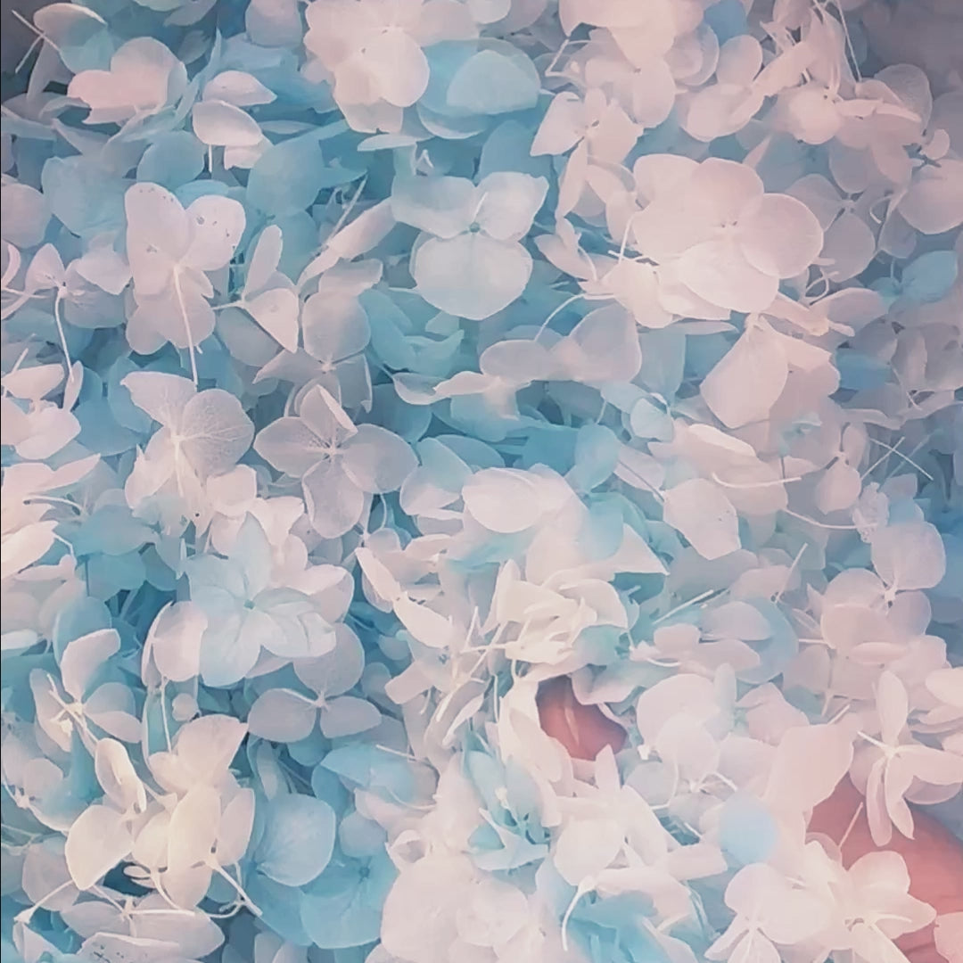 Biodegradable Confetti – Real Dried Flower Petal Wedding Confetti - Cloud Nine