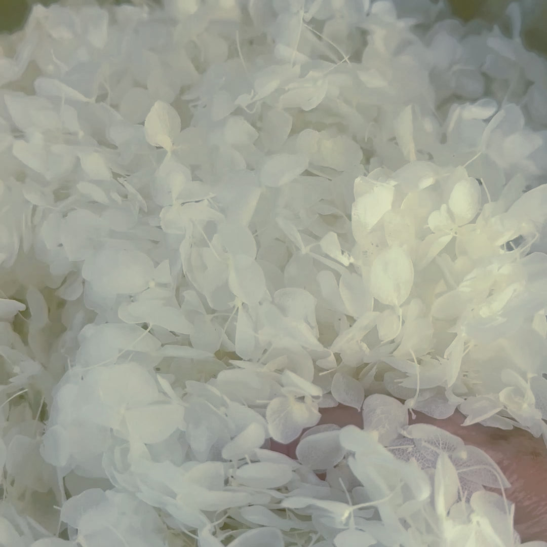 Biodegradable Confetti – Real Dried Flower Petal Wedding Confetti - Moonlit Dance