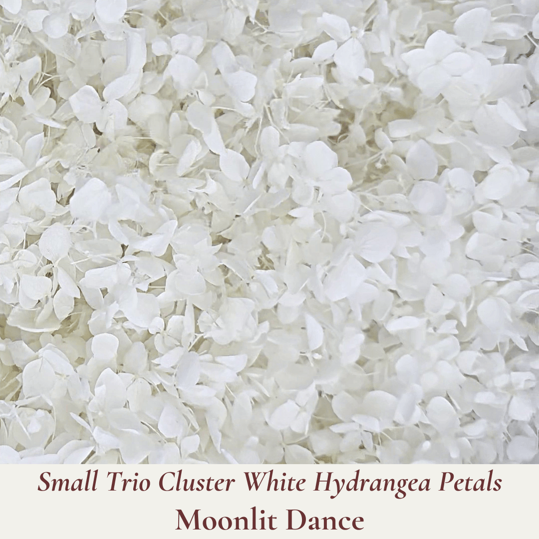 Wedding Confetti Cones Bundle - Biodegradable Confetti Cones - Dried Flower Confetti + Cones - The Sprinkle Bar