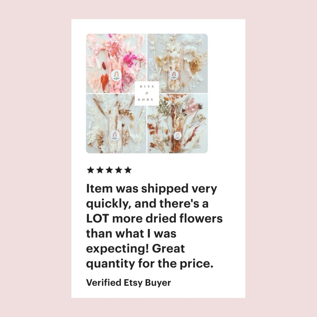 White and Blue Dried Flower Packs - Cake Topper - Real Dried Flowers - Resin Art Flowers - Dried Flowers - The Sprinkle Bar