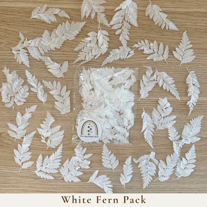 White Fern Pieces - Dried Flower Packs - Cake Toppers - Natural Dried Flowers - Cake Decoration - Crafts - The Sprinkle Bar